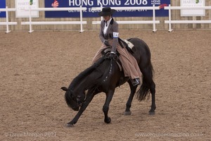 Lusitano Breed Society of Great Britain Show - Hartpury College - 27th June 2009